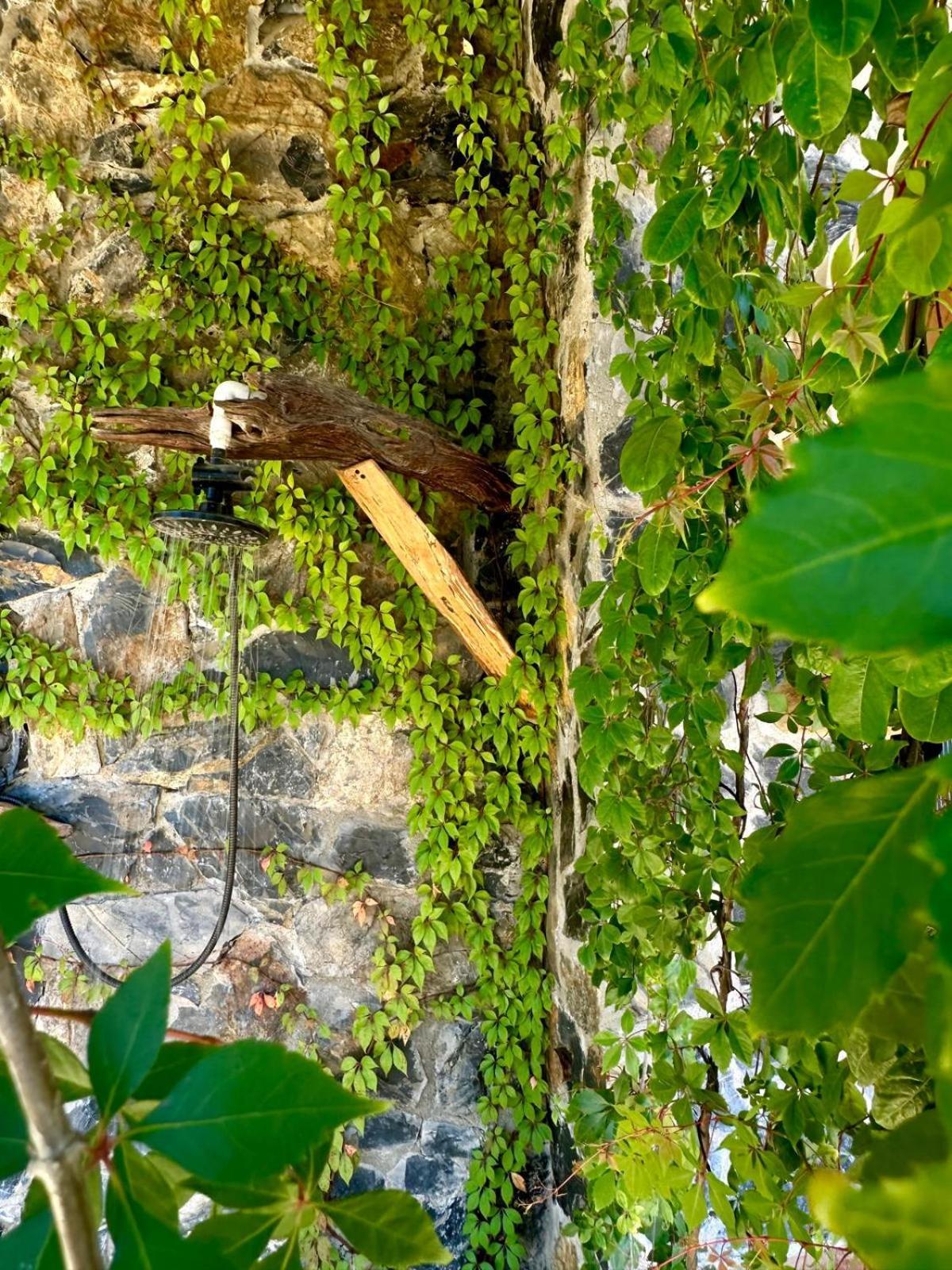 Casa Jasmin Bed & Breakfast Troncones Kültér fotó